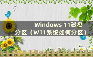 Windows 11磁盘分区（W11系统如何分区）